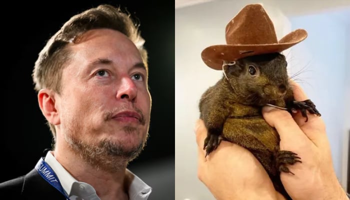 Tesla Ceo Elon Musk (L) famous squirrel Peanut RIP.—Reuters/Social Media