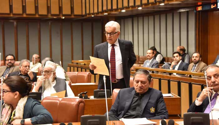 Minister for Defence Khawaja Muhammad Asif presenting a bill in Senate, Islamabad, November 4, 2024. — Facebook/@Pakistansenate