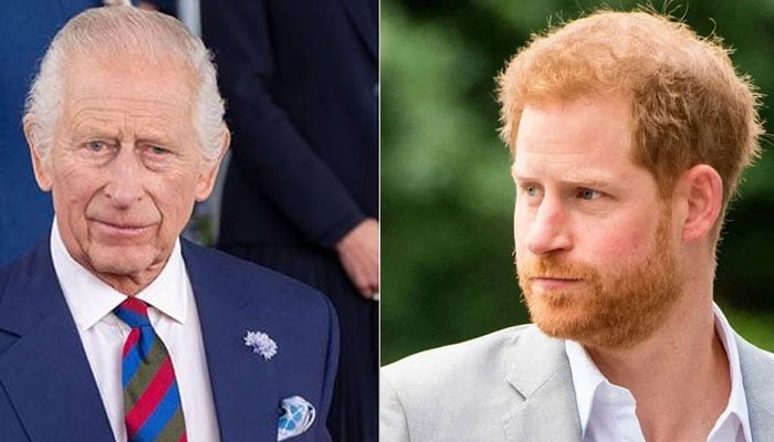 Prince Harry branded tragic for letting Archie, Lilibet miss King Charles