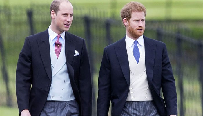 Prince William takes tentative steps towards making amends with Harry