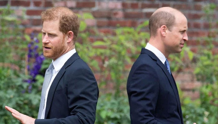 Le règne du prince Williams en tant que roi est-il menacé à cause du prince Harry ?