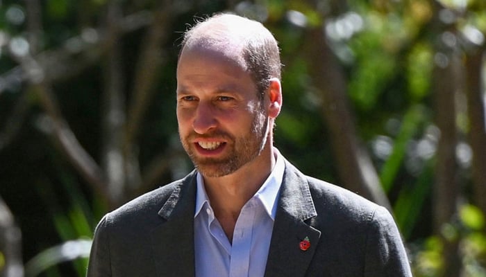 Prince William delivers impactful speech in Africa: a really special place