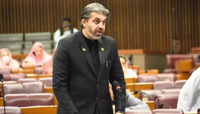 PTI leader Ali Muhammad Khan addressing during a National Assembly session in this undated image. — Facebook/@NaofPakistan