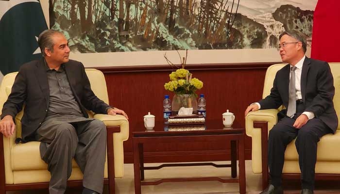 Federal Interior Minister Mohsin Naqvi meets Chinese Ambassador Jiang Zaidong in Islamabad on November 7, 2024. — PID