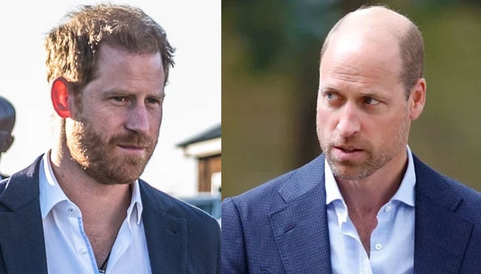 Real extent of Prince Williams ‘aversion to Prince Harry