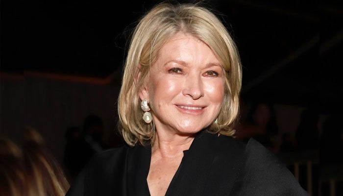 Martha Stewart fires back at reporter over scathing column after mistaken death claim