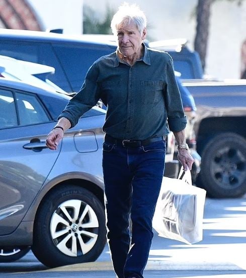 Harrison Ford makes first public outing post rare political endorsement