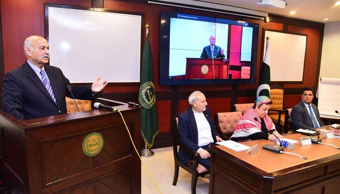 Senator Mushahid Hussain addressing a seminar on Palestine hosted by Islamabad Policy Institute on November 9, 2024. — Supplied