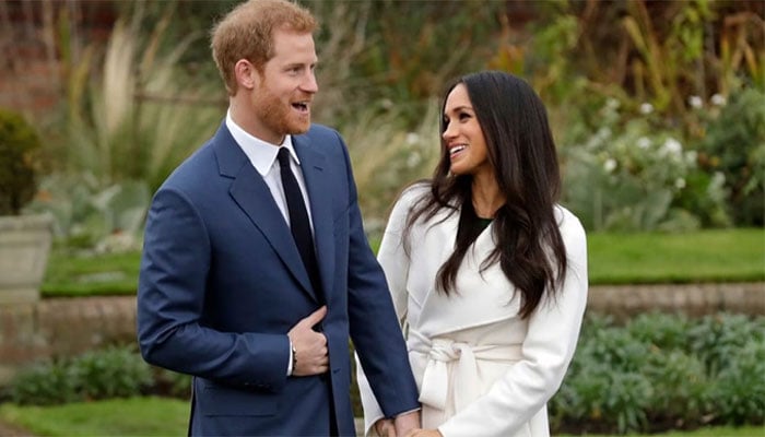 Prince Harry, Meghan Markle dubbed unpredictable after reunion