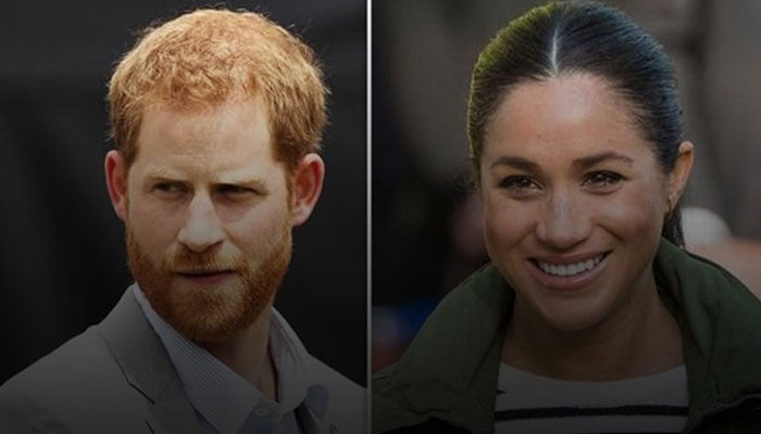 Prince Harry, Meghan Markles value as humans questioned: ‘Theyre nothing