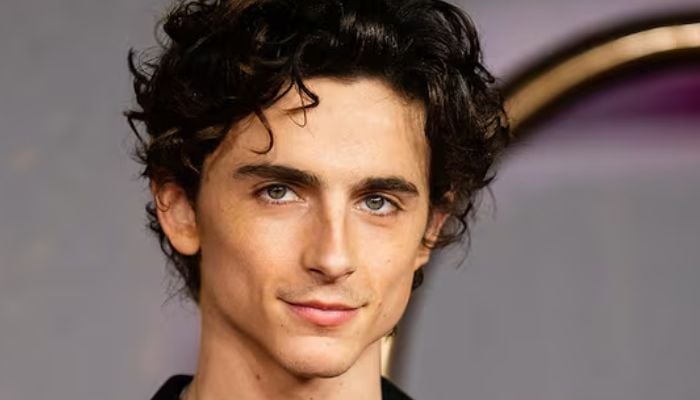 Timothee Chalamet reveals why he didnt mimic Bob Dylan in upcoming biopic