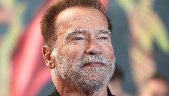 Photo: Arnold Schwarzenegger paying hefty price after damage: Source