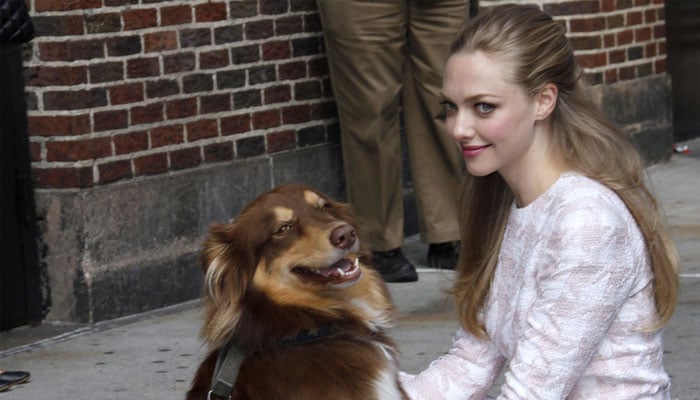 Amanda Seyfried reveals reason behind leaving Hollywood