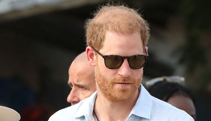 Prince Harry sparks frenzy because of his ‘terrorizing plans for Christmas