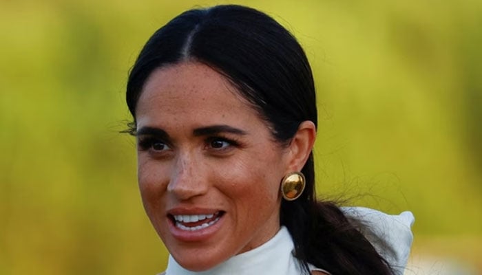 ‘Lonely Meghan Markle embarks upon a brand new investment