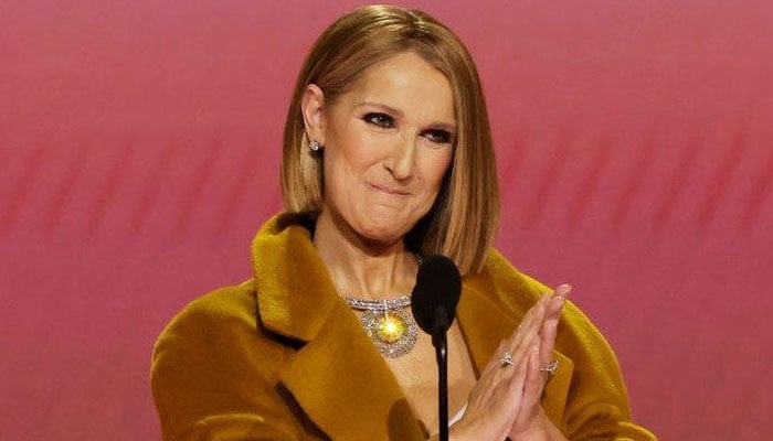 Céline Dion teases playful side online for fans