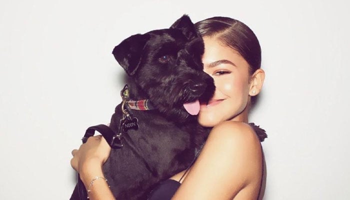 Zendaya confesses her dogs favourite person