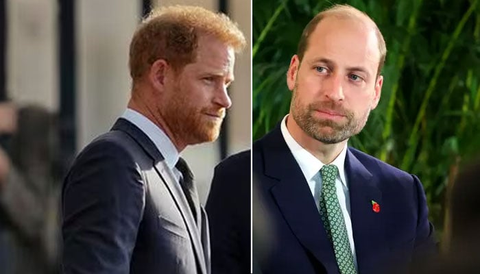 Prince Harry called to take Prince William down a peg: ‘Hes turning into a pinhead