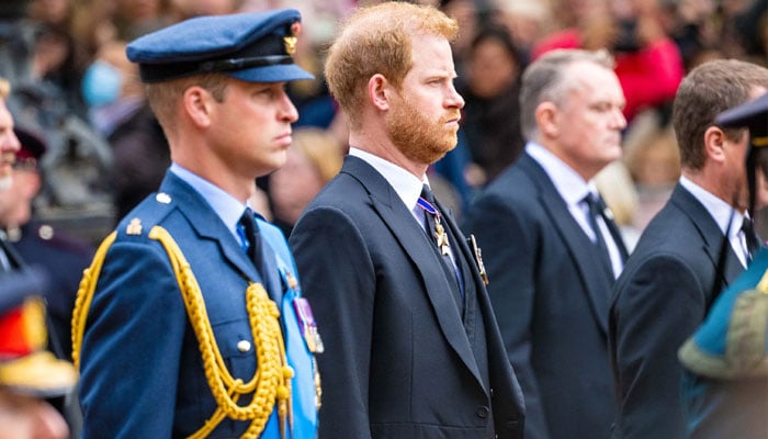 Prince Harry seeks to reunite with royal family: He loves them