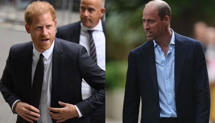 Prince Williams plans for post-Coronation Prince Harry get leaked