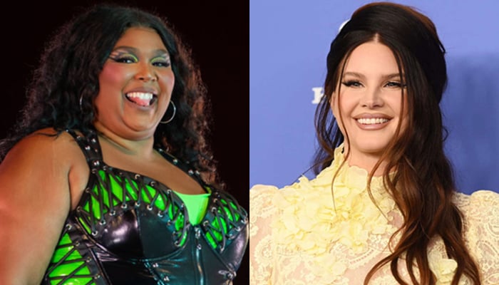 Lana Del Rey clarifies very random Lizzo screenshot controversy