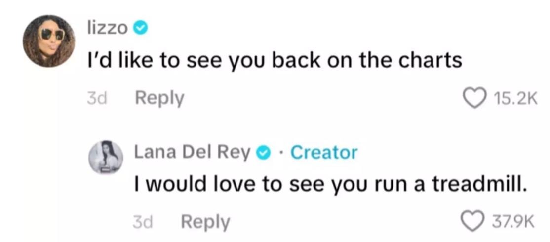 Lana Del Rey clarifies very random Lizzo screenshot controversy