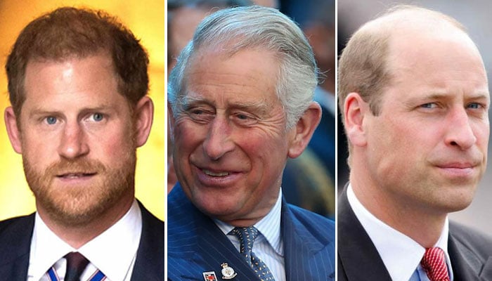 Prince William warned about Prince Harrys relationship with King Charles