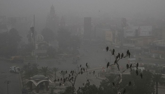 A street is shrouded in smog amid air pollution, during a morning in Multan, Pakistan, November 15, 2024. — Reuters