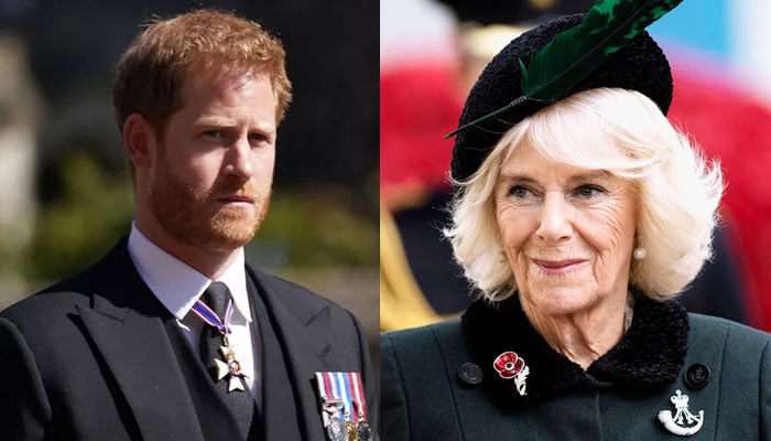 Pince Harry called out for trading places with Queen Camilla