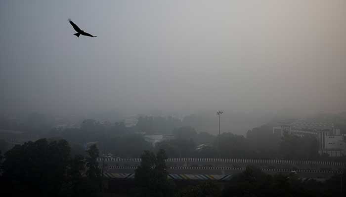 Traffic passes by on a road as the sky is enveloped with smog after Delhis air quality was classified as hazardous amidst severe air pollution, in New Delhi, India, November 14, 2024. — Reuters