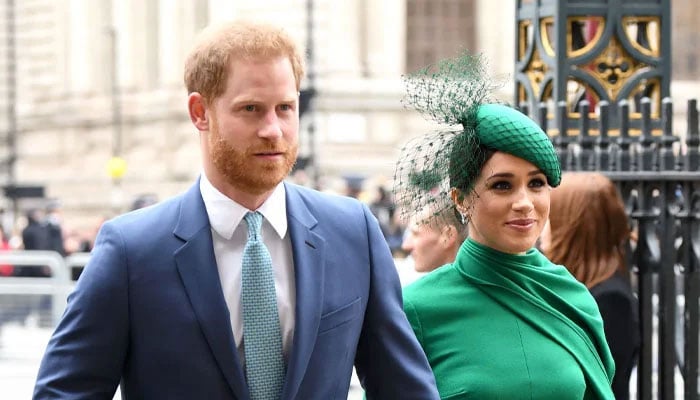 Prince Harry, Meghan Markle solo appearances: Expert makes shocking analysis