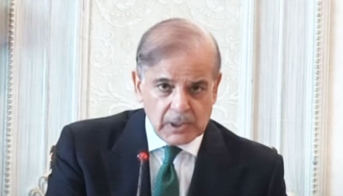 Prime Minister Shehbaz addresses National Action Plans apex committee on November 19, 2024. — YouTube/GeoNews