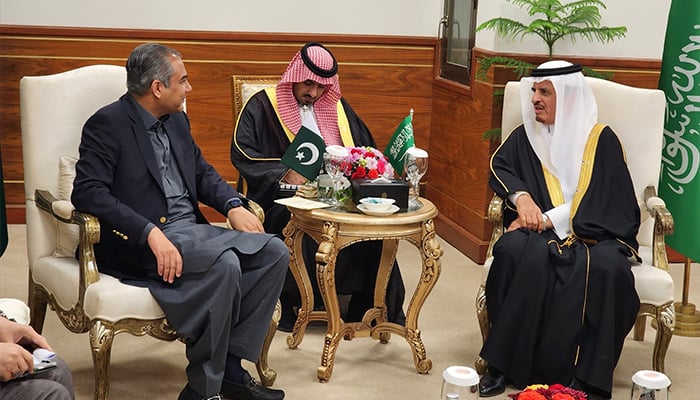 Interior Minister Mohsin Naqvi (left) and Saudi Arabias Deputy Interior Minister Dr Nasser bin Abdulaziz Al-Daoud during a meeting in Islamabad on November 20, 2024. — PID