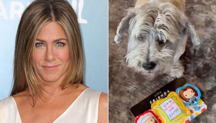 Jennifer Aniston eyes dogs as new customers