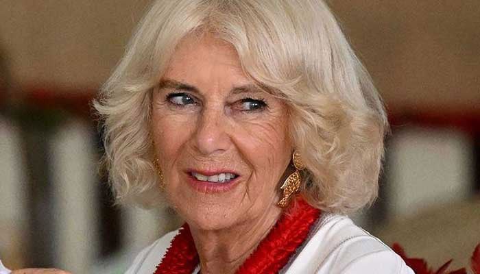 Queen Camilla battling something ‘potentially deadly just like King Charles