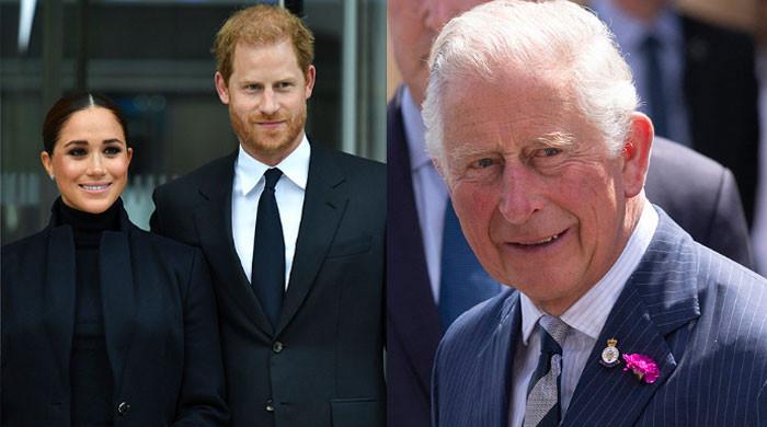 King Charles Receives Hopeful Update as Harry and Meghan Plan UK Visits