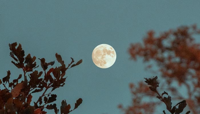 A representational image shows the moon in the sky. — Pexels