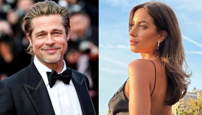 Brad Pitt, Ines de Ramon plan cozy upcoming holiday dinner