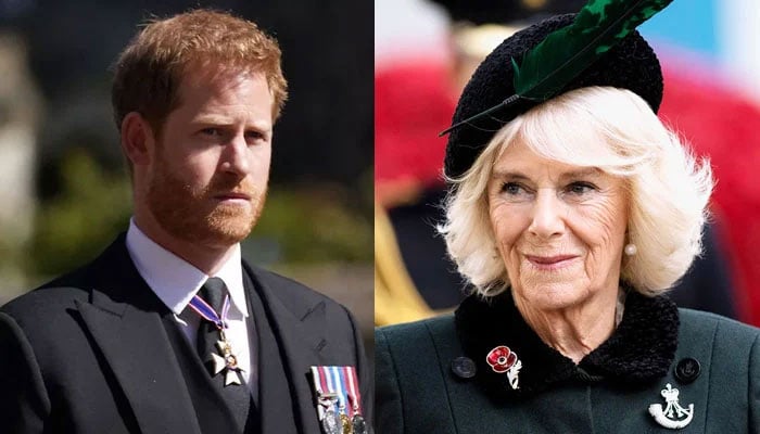 Royal Expert reveals truth about Queen Camillas relationship with Prince Harry