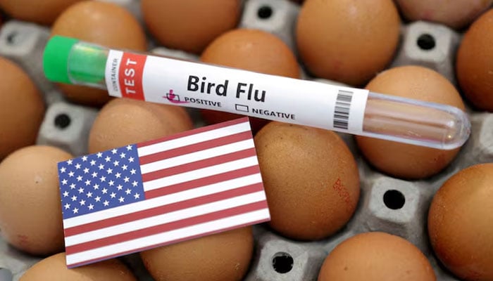 A test tube labelled Bird Flu, eggs and a piece of paper in the colours of the US national flag are seen in this picture illustration, January 14, 2023. — Reuters