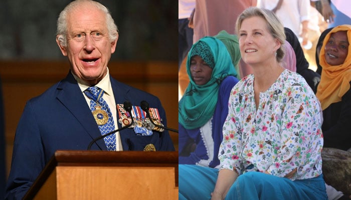 King Charles reacts to major announcement about Duchess Sophie