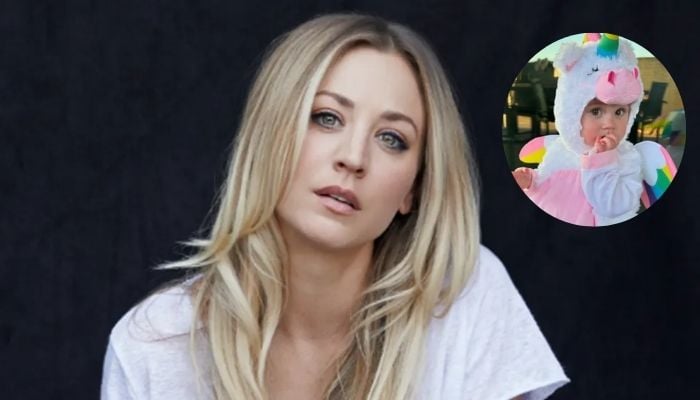 Harley Quinn star Kaley Cuoco shares her wild take on motherhood