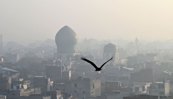 This aerial view shows a residential area covered under heavy smog during the morning in Lahore on November 26, 2024. — AFP