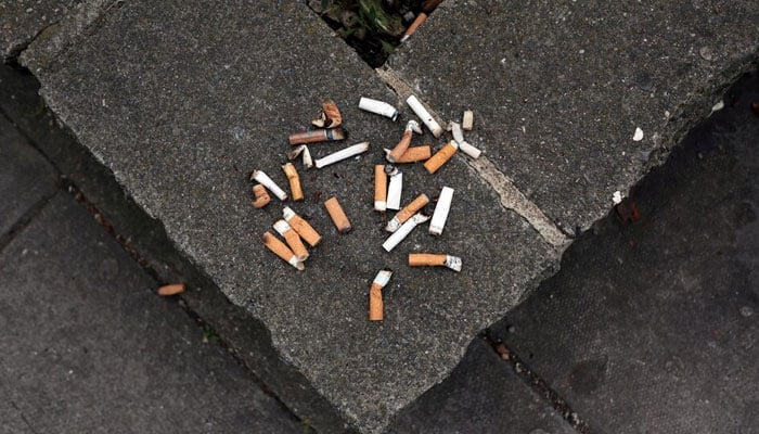 Cigarette butt ends are seen discarded on a public flower bed wall in London, Britain, May 9, 2017. — Reuters