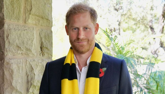 Prince Harrys pal breaks down ‘dysfunction of Buckingham Palace members