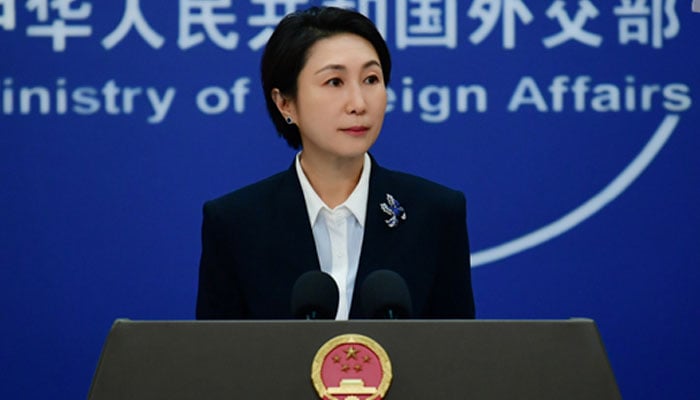 This undated image shows Chinas foreign ministry spokeswoman Mao Ning during a press briefing. — Chinese Foreign Ministry website/File