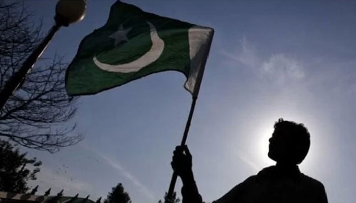 The image shows a person holding a Pakistani flag. — Reuters/File