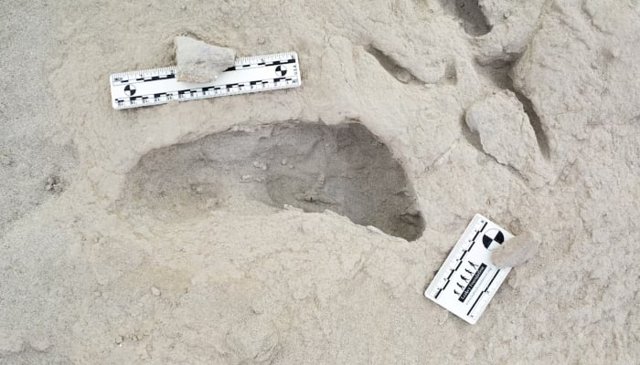 A fossil footprint in northern Kenya hypothesised to have been created by a Paranthropus boisei individual, is seen in this photograph released on November 28, 2024. —Reuters