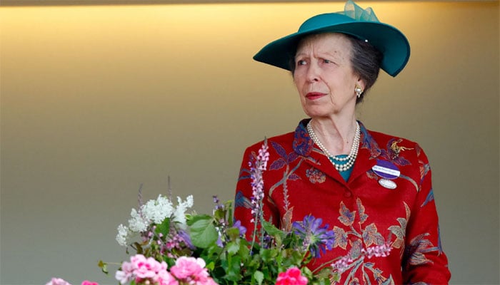 Princess Anne continues royal duties after new honour