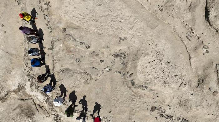 1.5 million-year-old fossil footprints show the coexistence of two ancient human species

 – Newsad